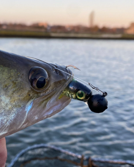 Tungsten Round Jig