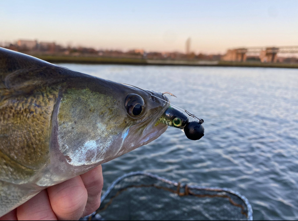 Tungsten Round Jig 3/0