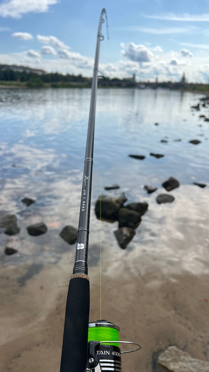 Bullseye Surgeon 213 2-14g